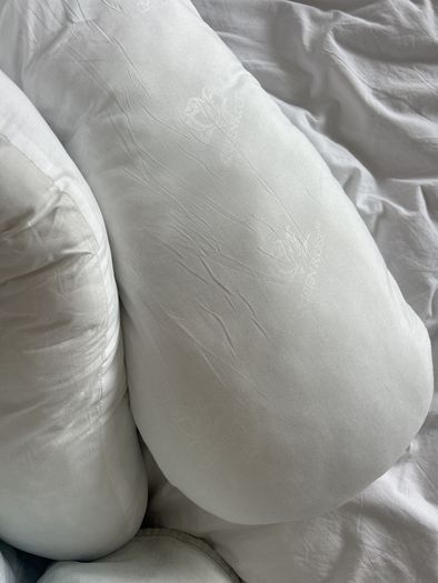 Pregnancy Pillow and Cover Queen Rose