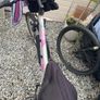 Girls Apollo Bike Image 4