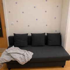 sofa bed