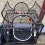 bird cage Image 3