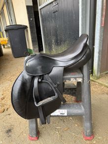 Saddle open to offers