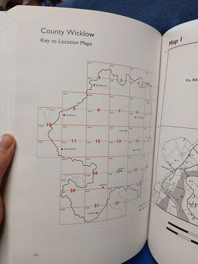 Wicklow Archaeological Inventory