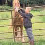 grazing for horses Image 2