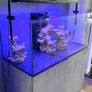 Fish tank Image 9