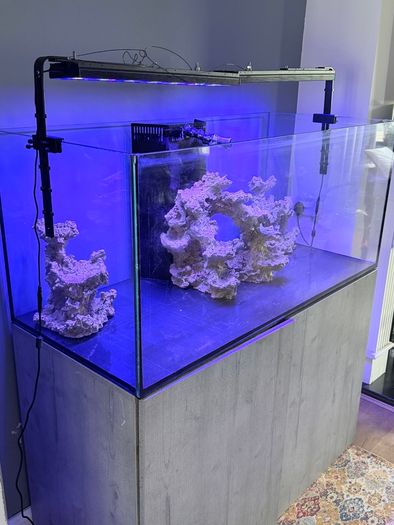 Fish tank