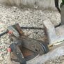 chainsaw chain sharpener Image 8