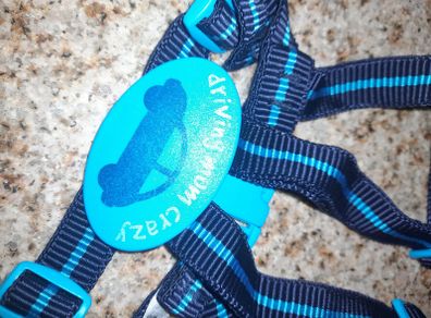Baby safety reins