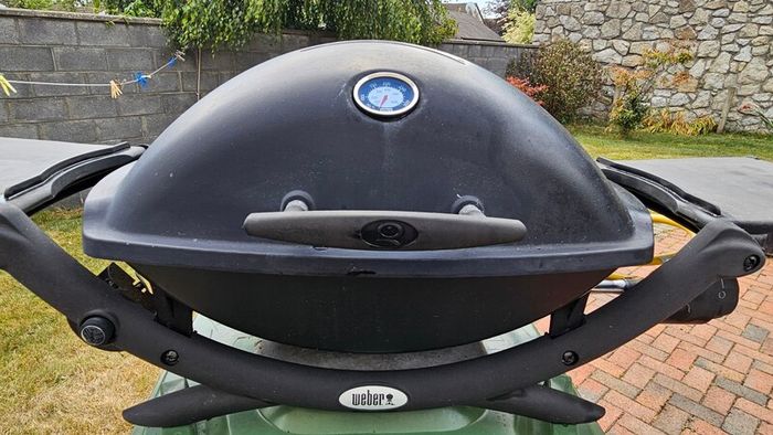 weber Q2200