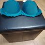 Brand New Bra Image 2
