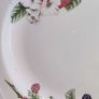 Set 20 pcs  by Churchill England, featuring a charming fruit and blossom design with a classic green rim. Beautifully made English pottery with lovely detail and quality. Image 2