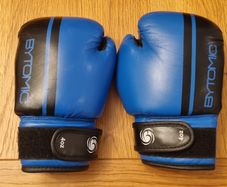 Bytomic kids kick boxing gloves postage included
