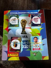 Panini World Cup Stickers