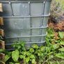 Schutz metal IBC Tanks x2 Image 4