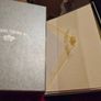 Large Bundle of Stationary Image 3