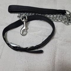 Dog Collar and Leash Black Great Condition