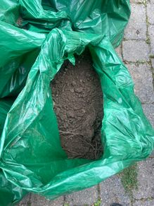 Soil
