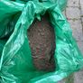 Soil Image 3
