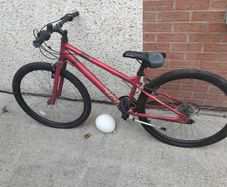 mans bike
