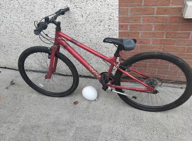 mans bike