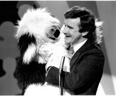 "Frisky" Old English Sheepdog