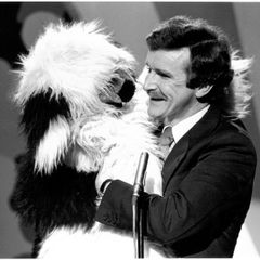 "Frisky" Old English Sheepdog