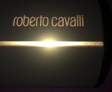 Roberto Cavalli sunglasses hard case brand new