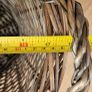 Basket Image 6