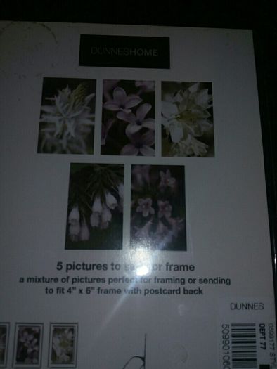 BNWT 5 Pictures to send or frame