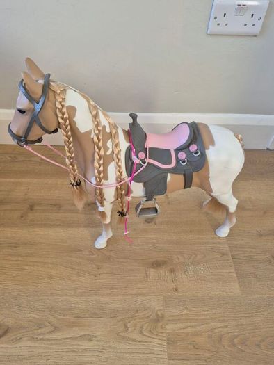 Our generation horse