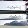 Antique Bone Handle Knives in Original Box Collectable Image 6