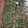 Artificial trellis with flowers (white roses) Image 4