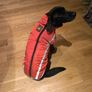 Dog Autumn & Winter Thick Outdoor Cotton Coat 5XL Image 7