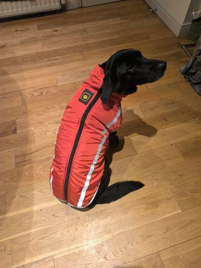 Dog Autumn & Winter Thick Outdoor Cotton Coat 5XL