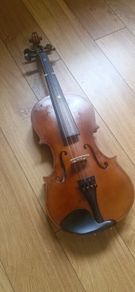 Violin