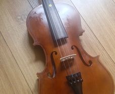 Violin