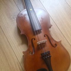 Violin