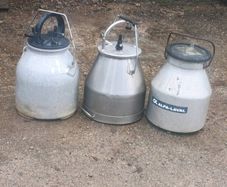 Milking buckets for sale with lids (As new)