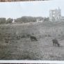 Pettigo Castle Termon McGrath Image 2
