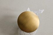 Brushed gold click clack waste