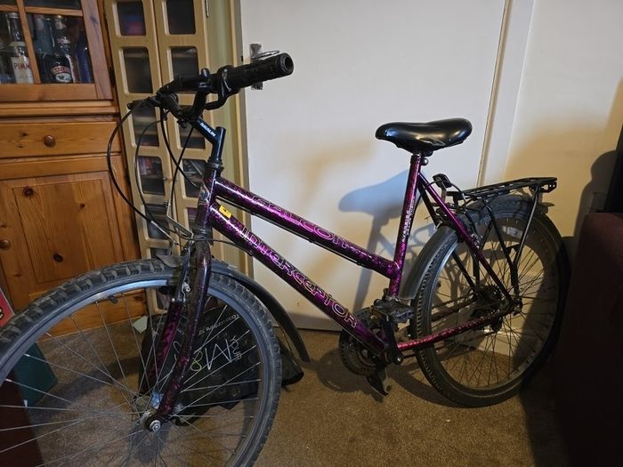ladies bike manual Falcon