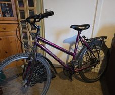 ladies bike manual Falcon