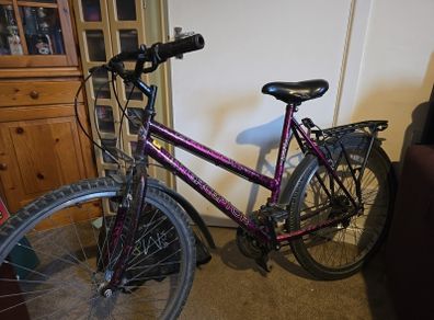 ladies bike manual Falcon
