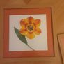 Prints/Two Bright Floral Pictures .. Frames Size" 18" x 18" .. NOW ONLY 22euro for Both or 16.00Each Image 6