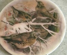 Marble Teapot Stand Trivet / or wall hanging Bird Redwing And Fieldfare Vintage Retro Pan Stand Wall Decor Kitchenalia