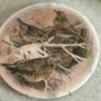 Marble Teapot Stand Trivet / or wall hanging Bird Redwing And Fieldfare Vintage Retro Pan Stand Wall Decor Kitchenalia Image 7