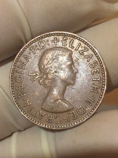 Elizabeth Halfpenny  x28 Pictures of each coin