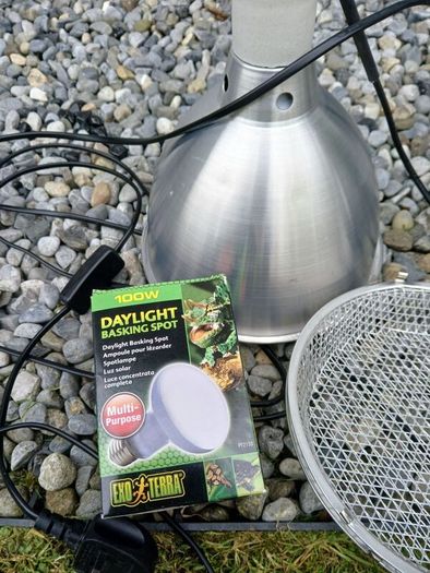 Reptile lighting