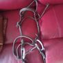 pony/donkey saddle + bridal & reins +blanket+strap Image 2