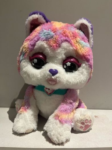 Hope the rainbow husky