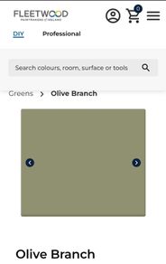 Fleetwood Paint Olive Branch